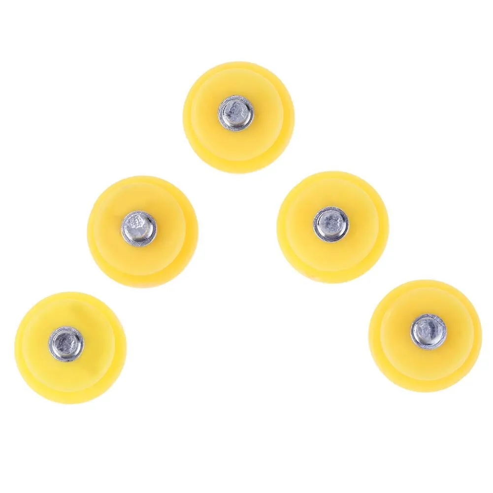 30pcs Teeth Nail for Ice Snow Climbing