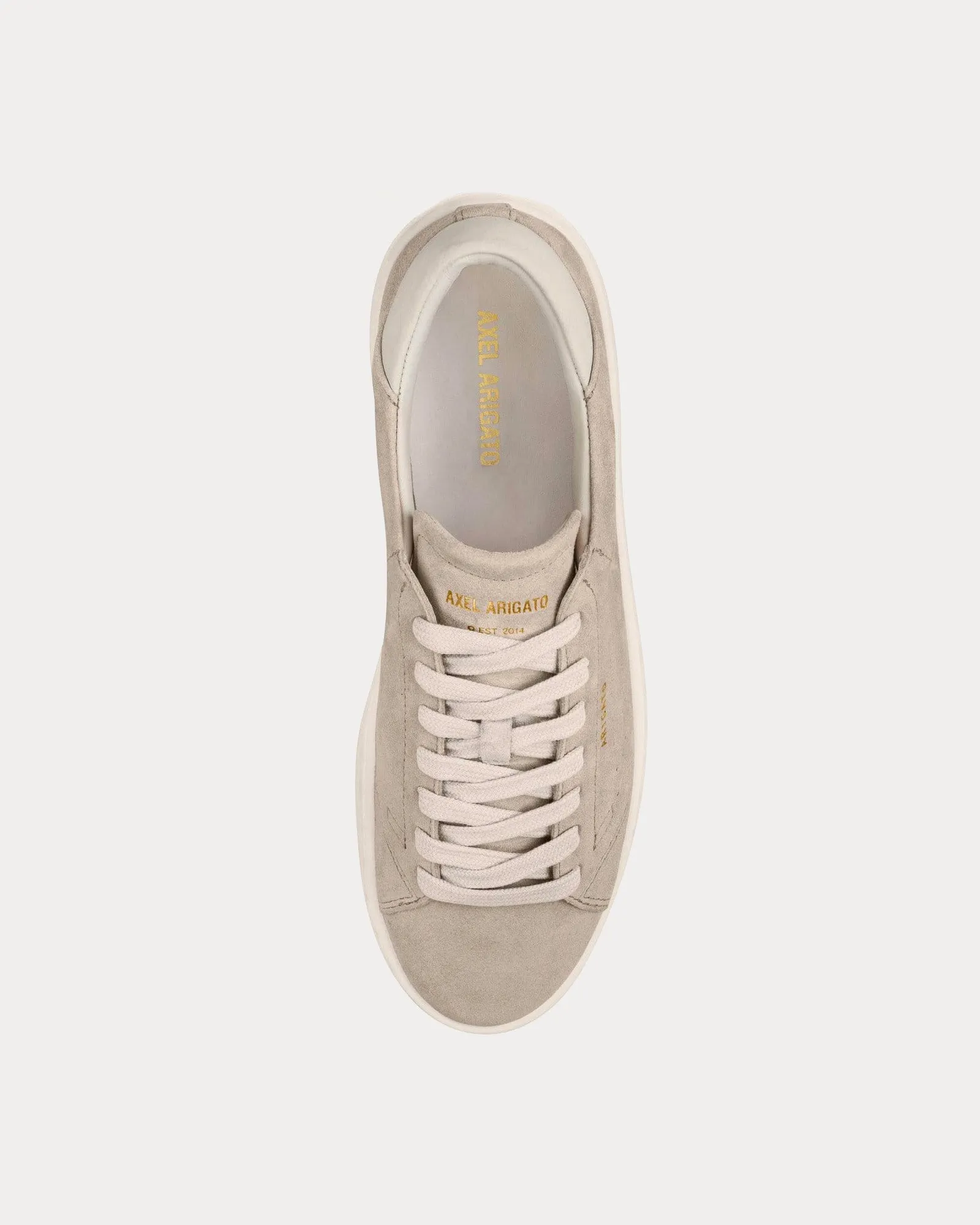 Court Suede Off White / Off White Low Top Sneakers