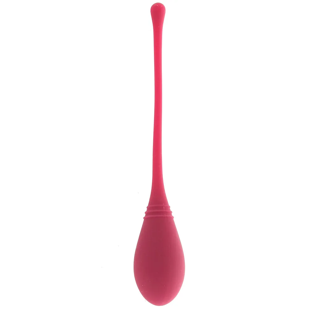 Self   JimmyJane Kegel Trainers Set